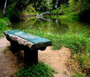 your seat at the online retreat