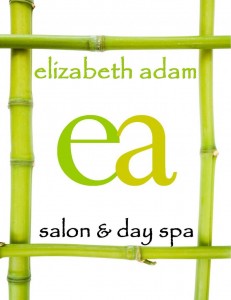 Elizebeth Adams Salon and Day Spa