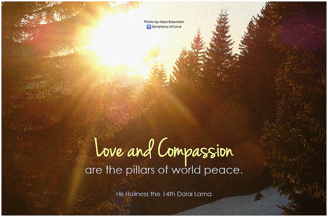  Dalai Lama Love and compassion are the pillars of world peace